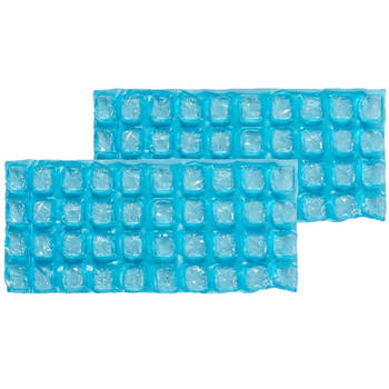 Set van 2x stuks herbruikbare flexibele koelelementen/icepacks 13 x 9 x 20 cm - Koelelementen