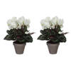 2x stuks cyclaam kunstplanten wit in keramieken pot H30 x D30 cm - Kunstplanten