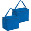 2x stuks kleine koeltassen voor lunch blauw 20 x 13 x 17 cm 4.5 liter - Koeltas