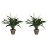 2x stuks spathiphyllum lepelplant kunstplanten wit in keramieken pot H50 x D40 cm - Kunstplanten