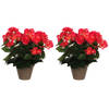 2x stuks donkerroze Begonia kunstplant 30 cm in grijze pot - Kunstplanten