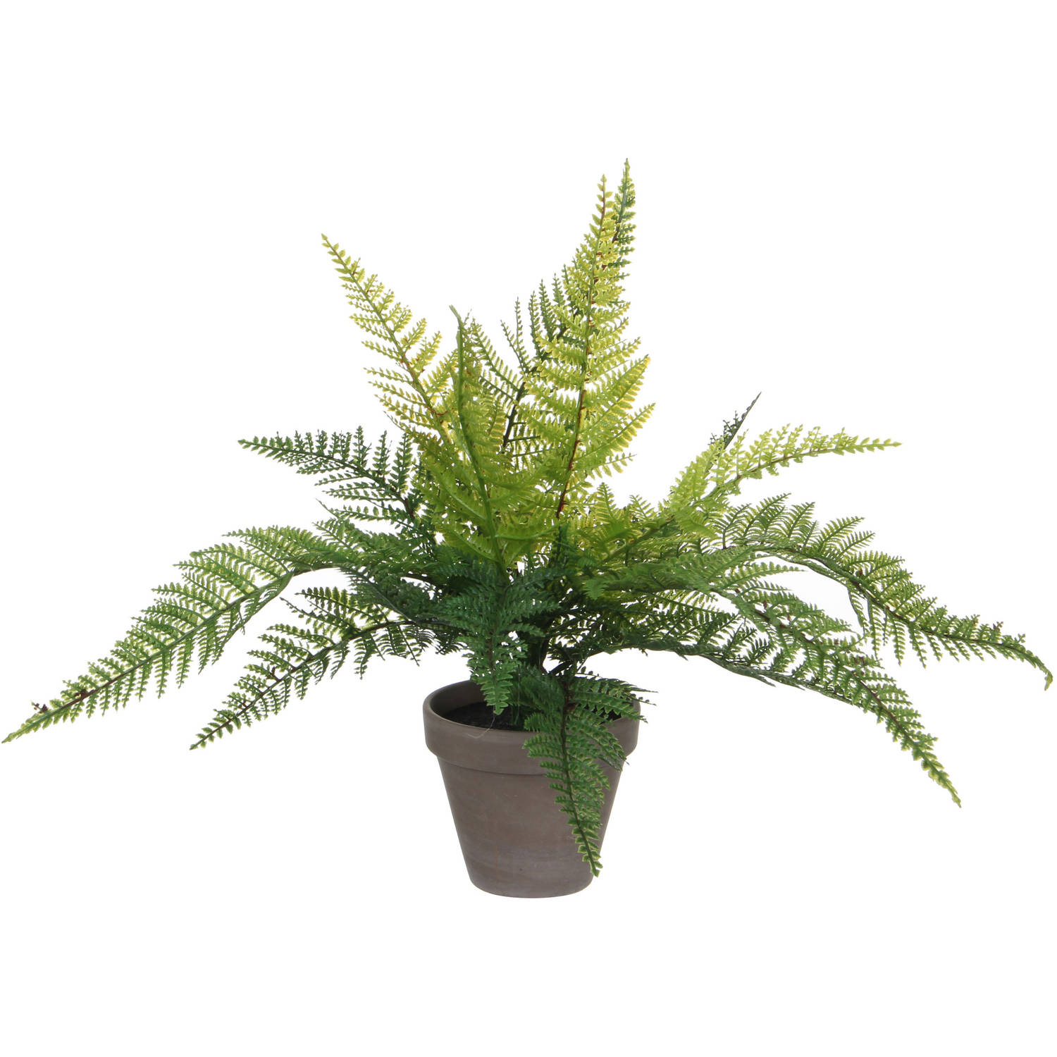 Tegenhanger Niet doen Onbemand Varen kunstplant/kamerplant groen H40 cm x D36 cm - Kunstplanten | Blokker