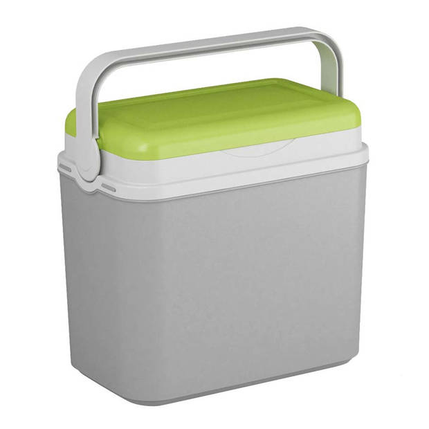 Koelbox grijs/groen 10 liter 30 x 19 x 28 cm incl. 2 koelelementen - Koelboxen