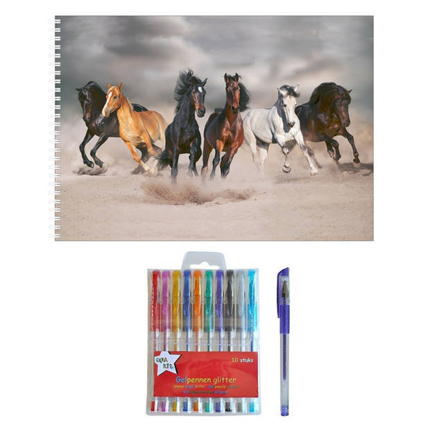 Schetsboek Paarden liefhebbers A4 50 paginas met 10 gelpennen - Schetsboeken
