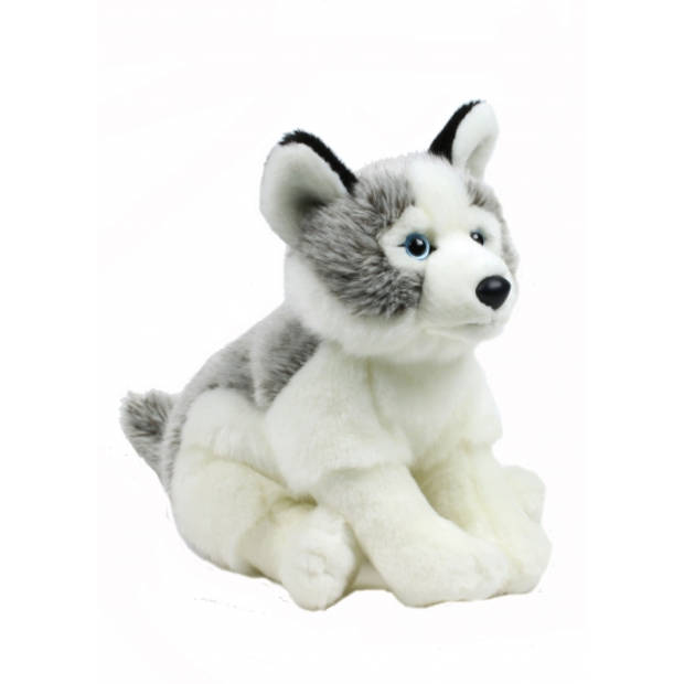 Pluche knuffel Husky hond 38 cm - Knuffeldier