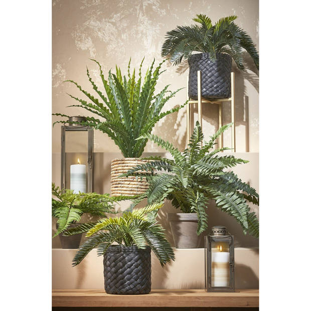 Mica Decorations Kunstplant - varen - groen - in pot - 42 cm - Kunstplanten