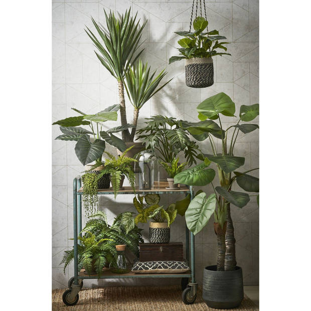 Varen kunstplant/kamerplant groen H40 cm x D36 cm - Kunstplanten