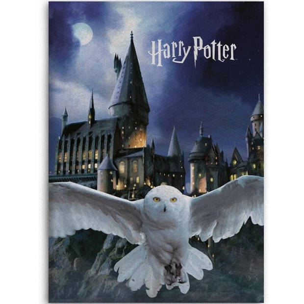 Harry Potter Fleece deken Hogwarts Hedwig - 100 x 140 cm - Polyester