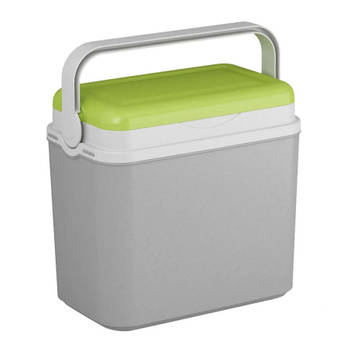 Koelbox grijs/groen 10 liter 30 x 19 x 28 cm - Koelboxen