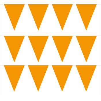 Pakket van 3x stuks oranje vlaggenlijnen 5 meter - Vlaggenlijnen
