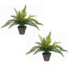 2x stuks varen kunstplanten/kamerplanten groen H40 cm x D36 cm - Kunstplanten