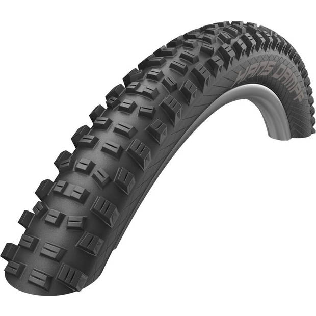 Schwalbe Vouwband Hans Dampf Performance 29 x 2.35" / 60-622 mm zwart