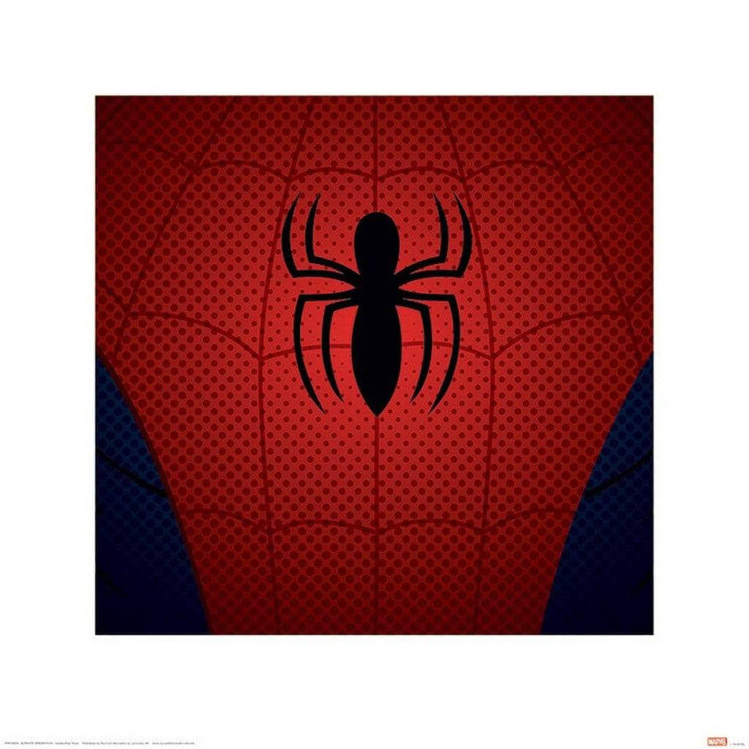 Ultimate Spider-Man Spider-Man Torso Art Print