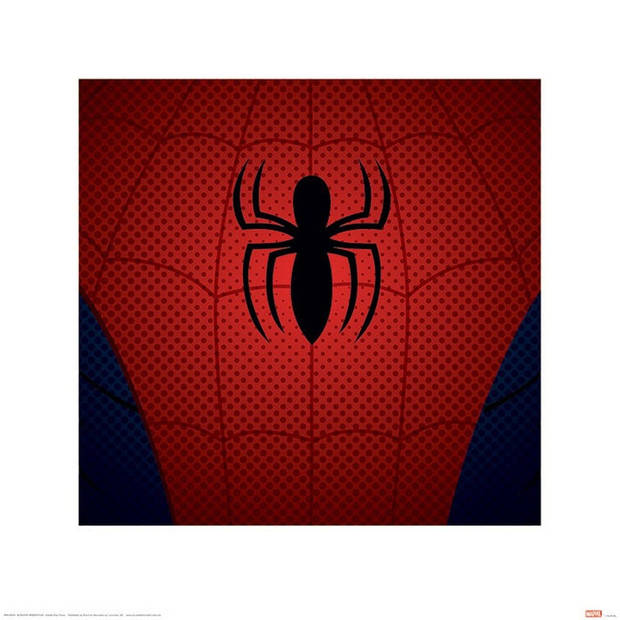 Kunstdruk Ultimate Spider-Man Spider-Man Torso 40x40cm