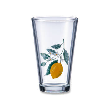 Blokker drinkglas citrus 350ml S/2