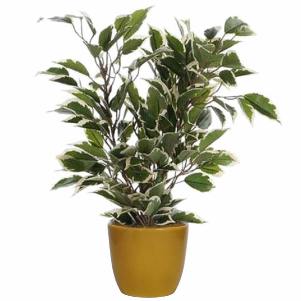 Groen/witte ficus kunstplant 40 cm met plantenpot okergeel D13.5 en H12.5 cm - Kunstplanten
