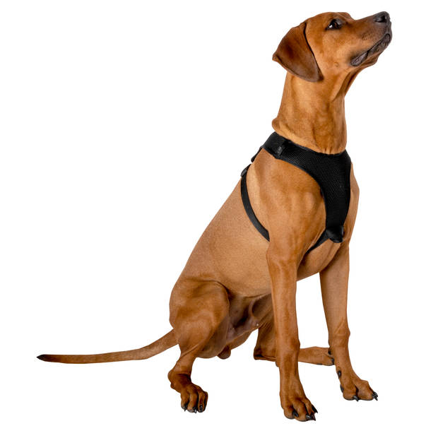 Pet Treatment Hondenharnas - Voor grote honden - 67,6 x 106,5 cm - Zwart