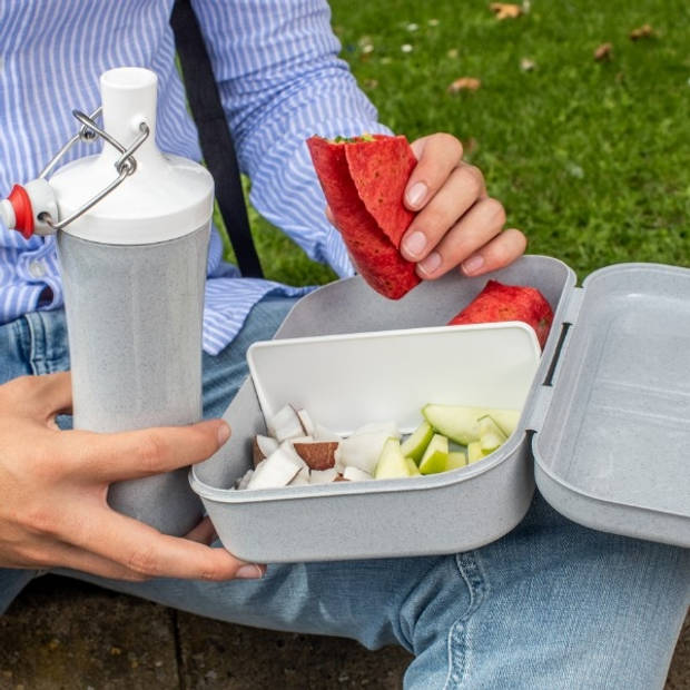 Koziol - Lunchbox met Verdeler, Organic Groen - Koziol Pascal L