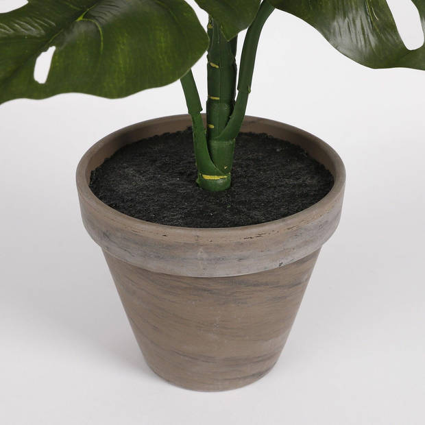 Monstera groen in pot Stan grijs d13,5cm - h48xd39cm