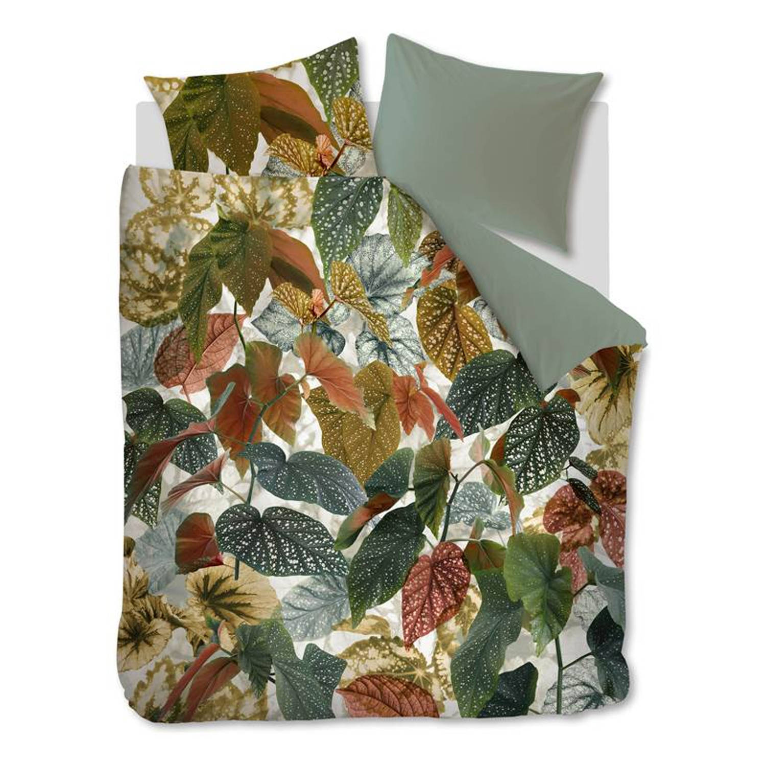 Beddinghouse - Beddinghouse Begonia dekbedovertrek