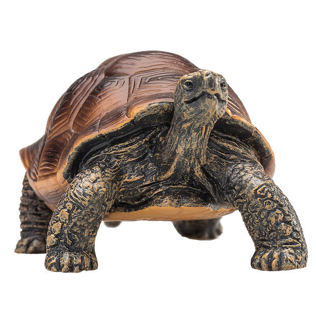 Mojo Wildlife speelgoed Reuzenschildpad - 387259