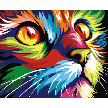 Best Pause Kat multikleur - Schilderen op nummer - 40x50 cm - DIY Hobby Pakket