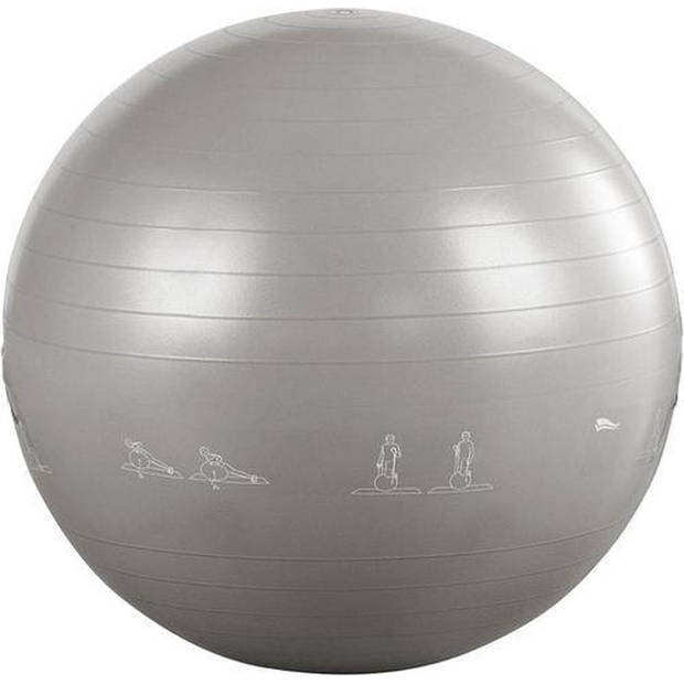 Fitness bal - Yoga bal - Gym bal - Pilates Bal - 65 cm - incl Pomp - Grijs