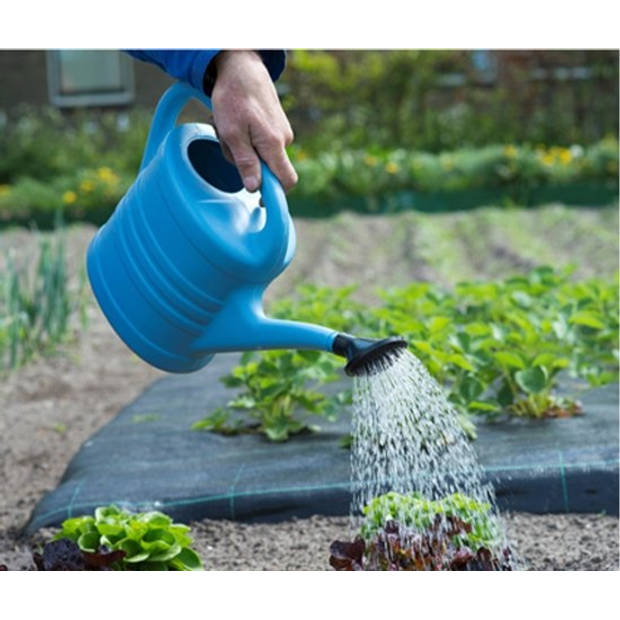Gieter met sproeikop Blauw 10 liter - Planten bewatering - Tuinartikelen/tuinieren - Moestuin/zwarte tuin/kruidentuin