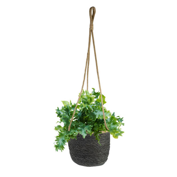 Steege Plantenpot - hangend - grijs - zeegras - 19 x 17 cm - Plantenpotten