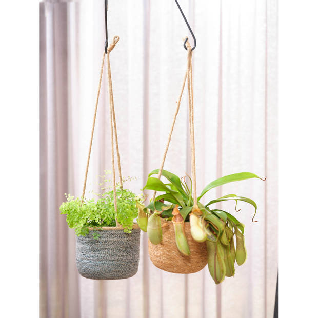 Hangende plantenpot/bloempot van jute/zeegras diameter 19 cm en hoogte 17 cm creme beige - Plantenpotten
