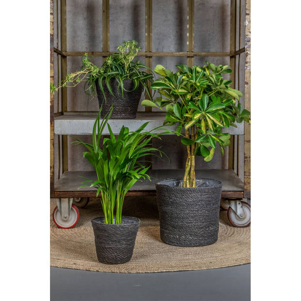 Steege Plantenpot - grijs - gevlochten zeegras - 22 x 19 cm - Plantenpotten