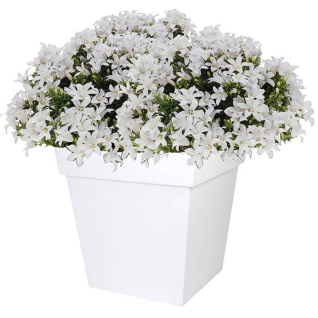 Bloempot Toscane vierkant kunststof wit L32 x B32 x H32 cm - Plantenpotten