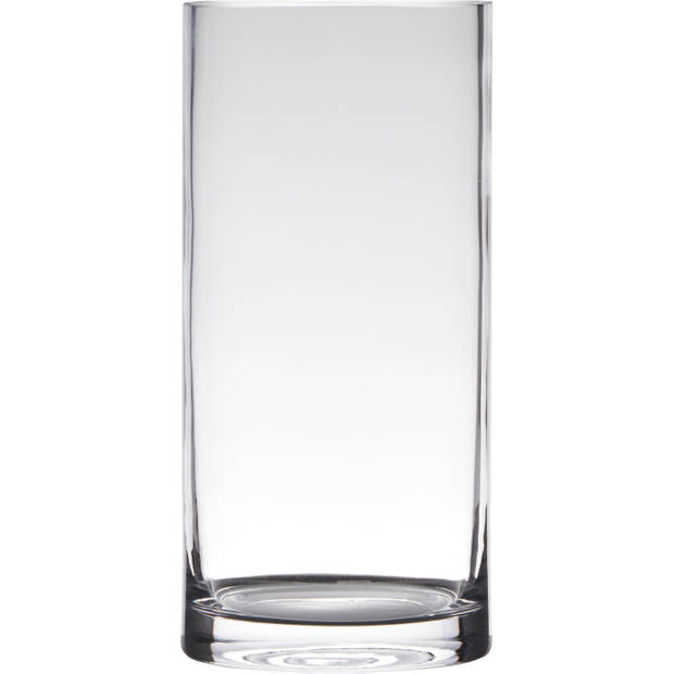 Glazen bloemen cylinder vaas/vazen 25 x 12 cm transparant - Vazen