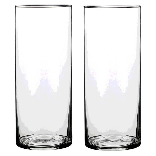 2x Ronde glazen cilinder vaas/vazen transparant 30 x 12 cm lang - Vazen