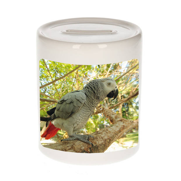 Foto grijze roodstaart papegaai spaarpot 9 cm - Cadeau papegaaien liefhebber - Spaarpotten