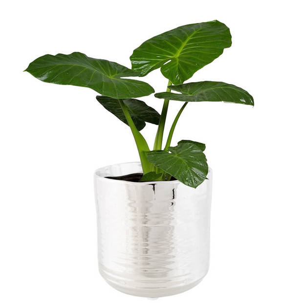 Cosy @ Home Plantenpot Cerchio - zilver - glans - keramiek - 13 cm - Plantenpotten