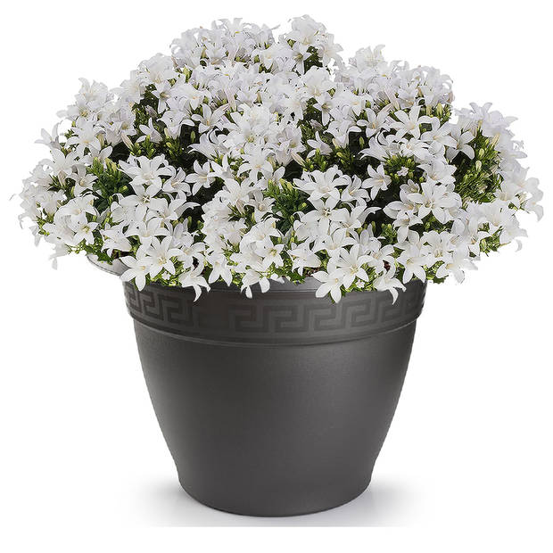 1x Antraciete plantenbakken/bloembakken rond 30 cm - Plantenpotten