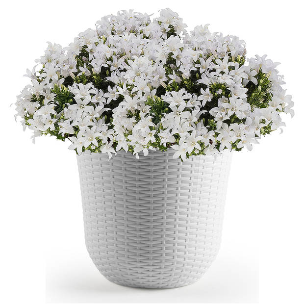1x Witte plantenbakken/bloembakken rond 32 cm - Plantenpotten