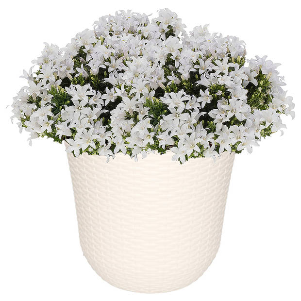 1x Witte plantenbakken/bloembakken rond 25 cm - Plantenpotten