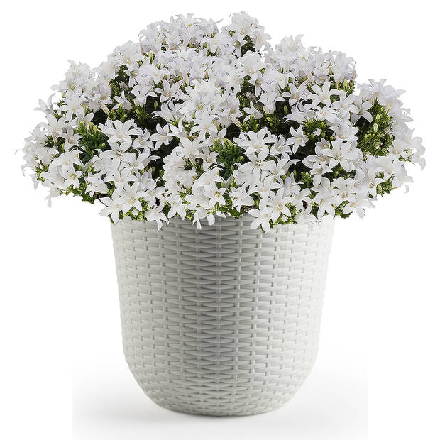1x Ivoor witte plantenbakken/bloembakken rond 32 cm - Plantenpotten