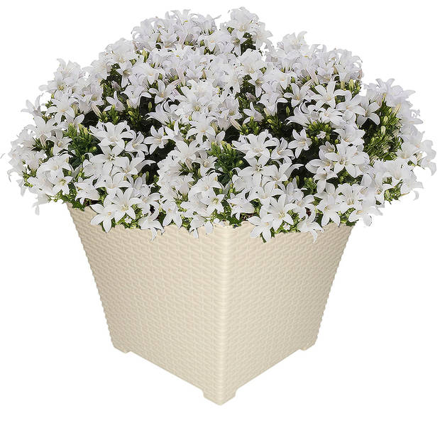 1x Ivoor witte plantenbakken/bloembakken 37 cm - Plantenpotten