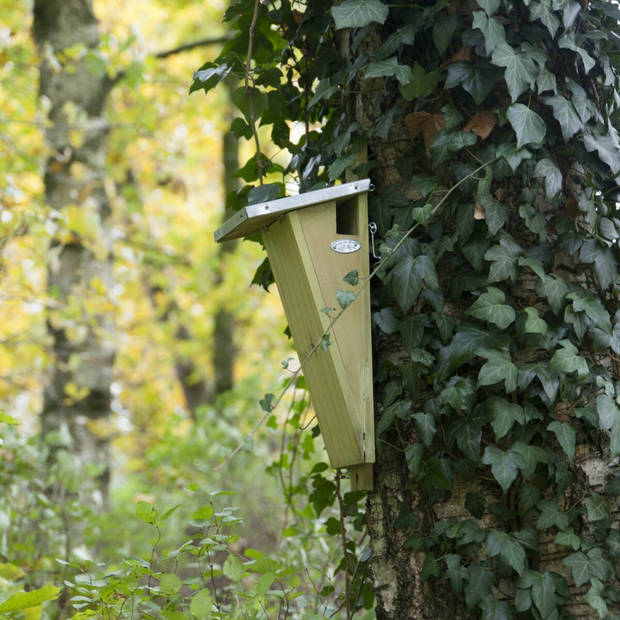 1x Vurenhouten nestkast voor boomkruiper 41 cm - Vogelhuisjes