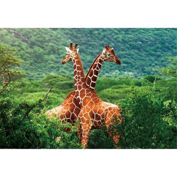 Set van 4x stuks placemat giraffe 3D 28 x 44 cm - Placemats