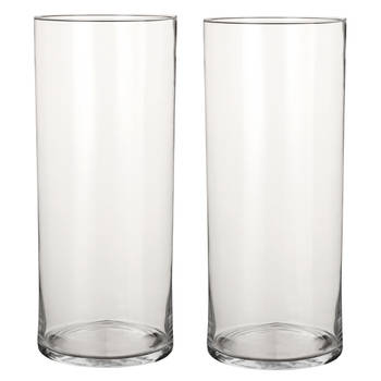 2x Ronde glazen cilinder vaas/vazen transparant 48 cm lang - Vazen