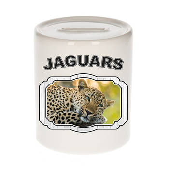 Dieren liefhebber luipaard spaarpot - jaguars/ luipaarden cadeau - Spaarpotten