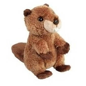 Bruine bevers knuffels 15 cm knuffeldieren - Knuffel bosdieren