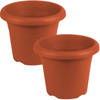 Set van 2x stuks terra cotta ronde plantenpotten/bloempotten kunststof diameter 16 cm - Plantenpotten