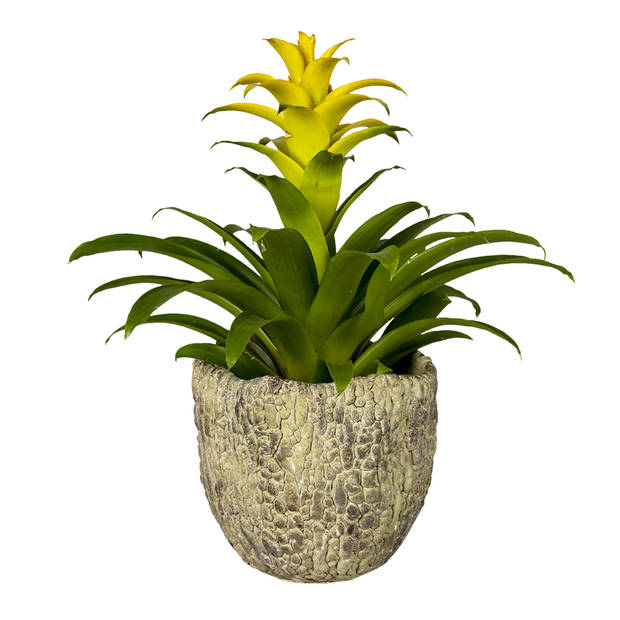 Clayre & Eef Groene Bloempot Ø 20*18 cm 6TE0363L