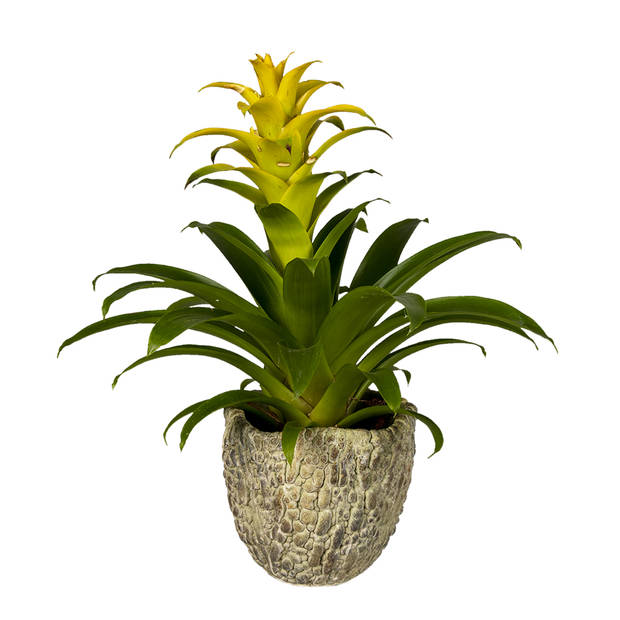 Clayre & Eef Groene Bloempot Ø 17*15 cm 6TE0363M