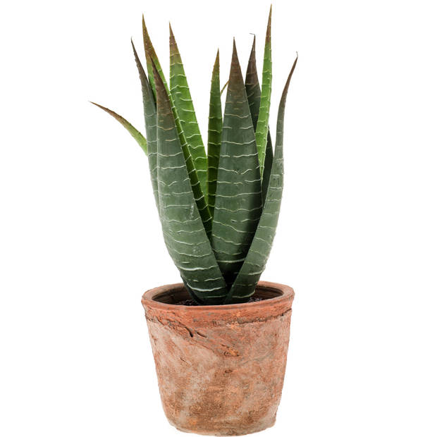 Emerald Kunstplant Aloe Vera - groen - in oude terracotta pot - 23 cm - Kunstplanten